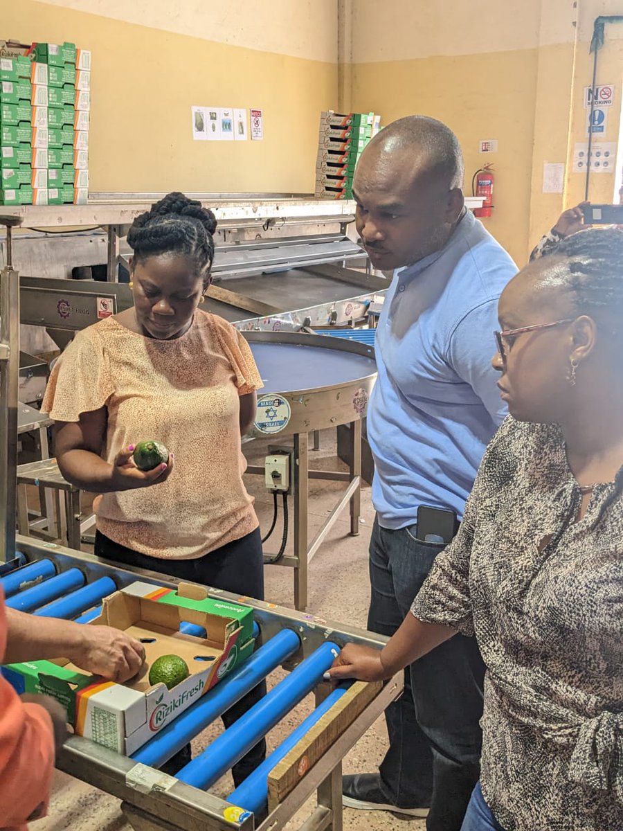 fluna_africa's tweet photo. We wrapped up an incredible week in Kenya by delving deep into the supply chain!

Our CCO, Olumide, and COO, @justkuorkor, visited @RizikiFresh to witness the process of fruit processing and export.

These insights are critical to our mission of empowering businesses in Africa. https://t.co/2cxtyO2hSg