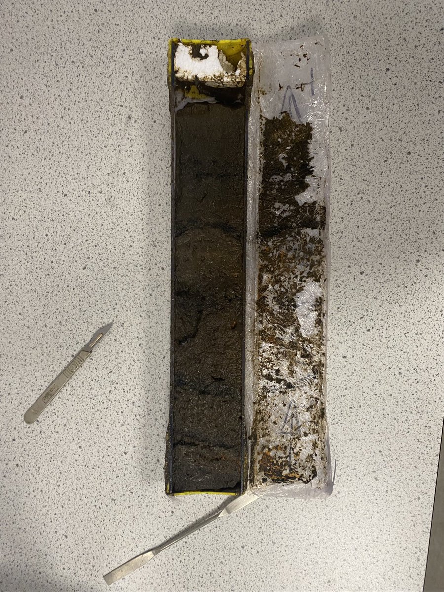 Dr Sarah Walton (@geog_sarah) on Twitter photo Had a great day in the lab measuring the magnetic susceptibly of my little Icelandic core with <a href="/DrNaomiHolmes/">Dr Naomi Holmes</a> - all chopped up and ready for round two MS measuring! Had a great day in the lab measuring the magnetic susceptibly of my little Icelandic core with <a href="/DrNaomiHolmes/">Dr Naomi Holmes</a> - all chopped up and ready for round two MS measuring!