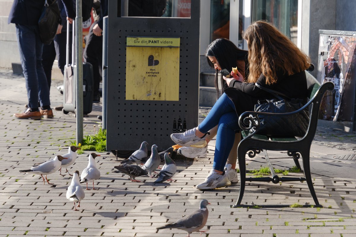 Some street scenes

📌 Copenhagen, Denmark