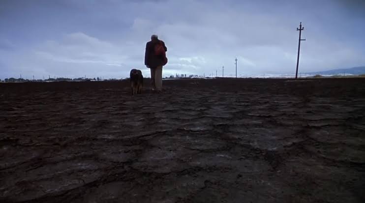 Alejandro G. Iñárritu's Amores Perros was released 23 years ago today.