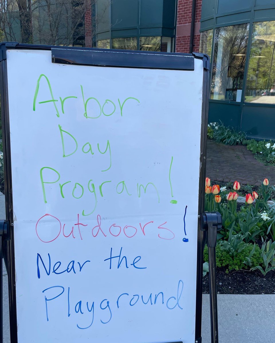 Town of Acton, MA on Twitter "New sugar maple planted behind