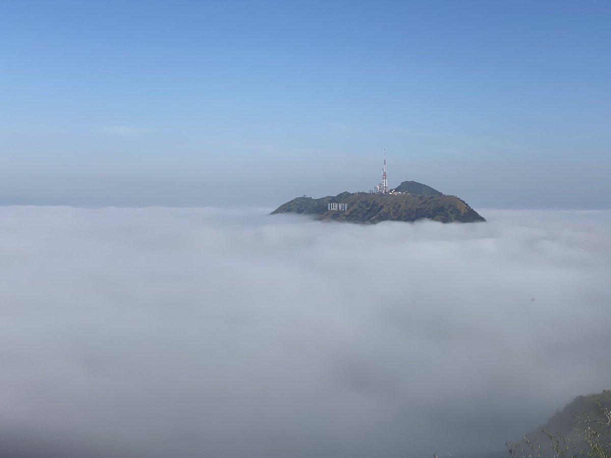 hllywdsigntrust's tweet photo. Hollywood Sign Island? Don’t mind if we do!
   
Thanks, Jeff Zarrinnam!
    
#hollywoodsign #islandlife #hollywoodhills #mountlee #abovetheclouds #losangelesphotography https://t.co/EvcAXHybRD