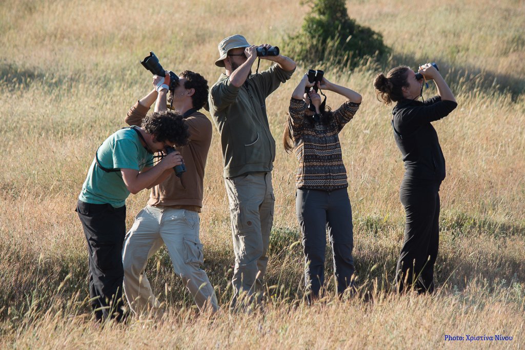 ornithologiki's tweet image. 👀 Έχετε γνώσεις αναγνώρισης πουλιών κι ένα πρωινό ή απόγευμα ελεύθερο έως τέλος Ιουνίου;
Τότε δηλώστε συμμετοχή στον 🐦 1ο Άτλαντα Αναπαραγόμενων Πουλιών της Ελλάδας, ένα από τα σημαντικότερα Προγράμματα Επιστήμης των Πολιτών στη χώρα μας: bit.ly/3suEPKt #GreekBirdAtlas