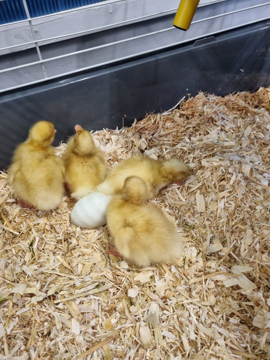 Welcome year 5 visitors!!!