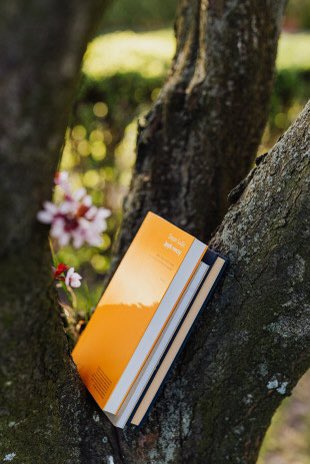 evolution_arts's tweet photo. Poetry Workshop - Going Outside to Find the Way In
With @Pighog  published poet Sonya Smith 
Saturday 6 May 2023, 11.00 - 3.00pm, Tichborne St #brighton 
https://t.co/urx4KxGtbQ https://t.co/q7puqpcWn1