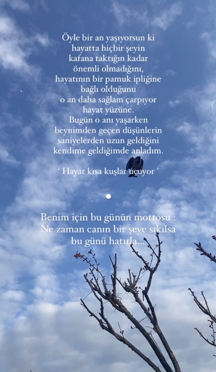 Bir varsın bir yoksun…