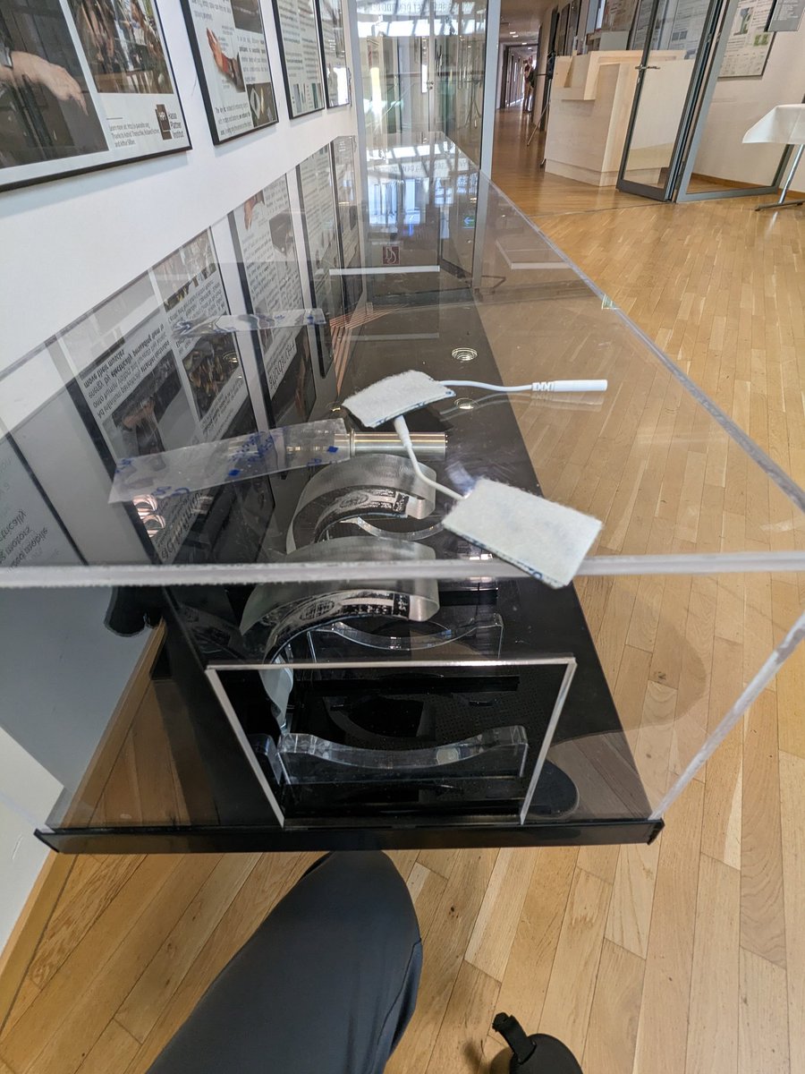 Pedro Lopes tweet media