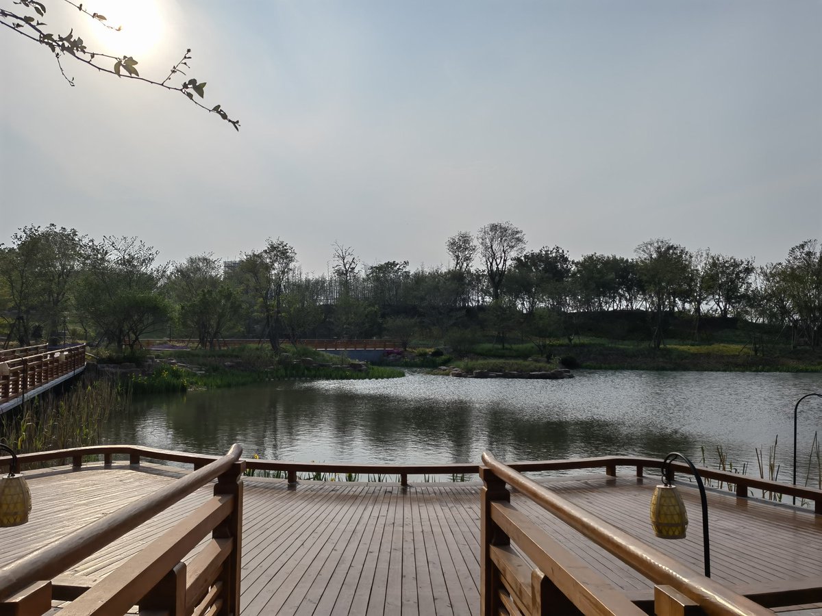 liaojifan's tweet photo. 不要胆小，做你自己，生活中不要懦弱，做最好的自己，追求快乐，自律，对抗平庸的生活，不要太在乎结果。追求爱与自由。追求精神平庸的快乐。哎，活着本身太难了 https://t.co/GjbLmbopzl