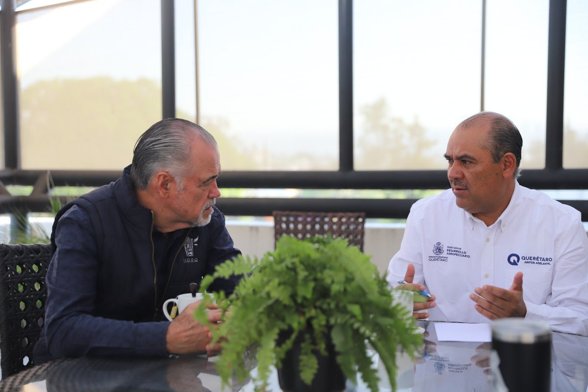 SedeaQro's tweet photo. Recibimos a Romualdo Moreno presidente de la @UGRQoficial, para hablar del trabajo que haremos en conjunto para hacer frente a la temporada de estiaje que impacta a nuestros productores.

#CONTIGO trabajamos arduamente para llevar a Querétaro al siguiente nivel. https://t.co/s8fphmtkdC