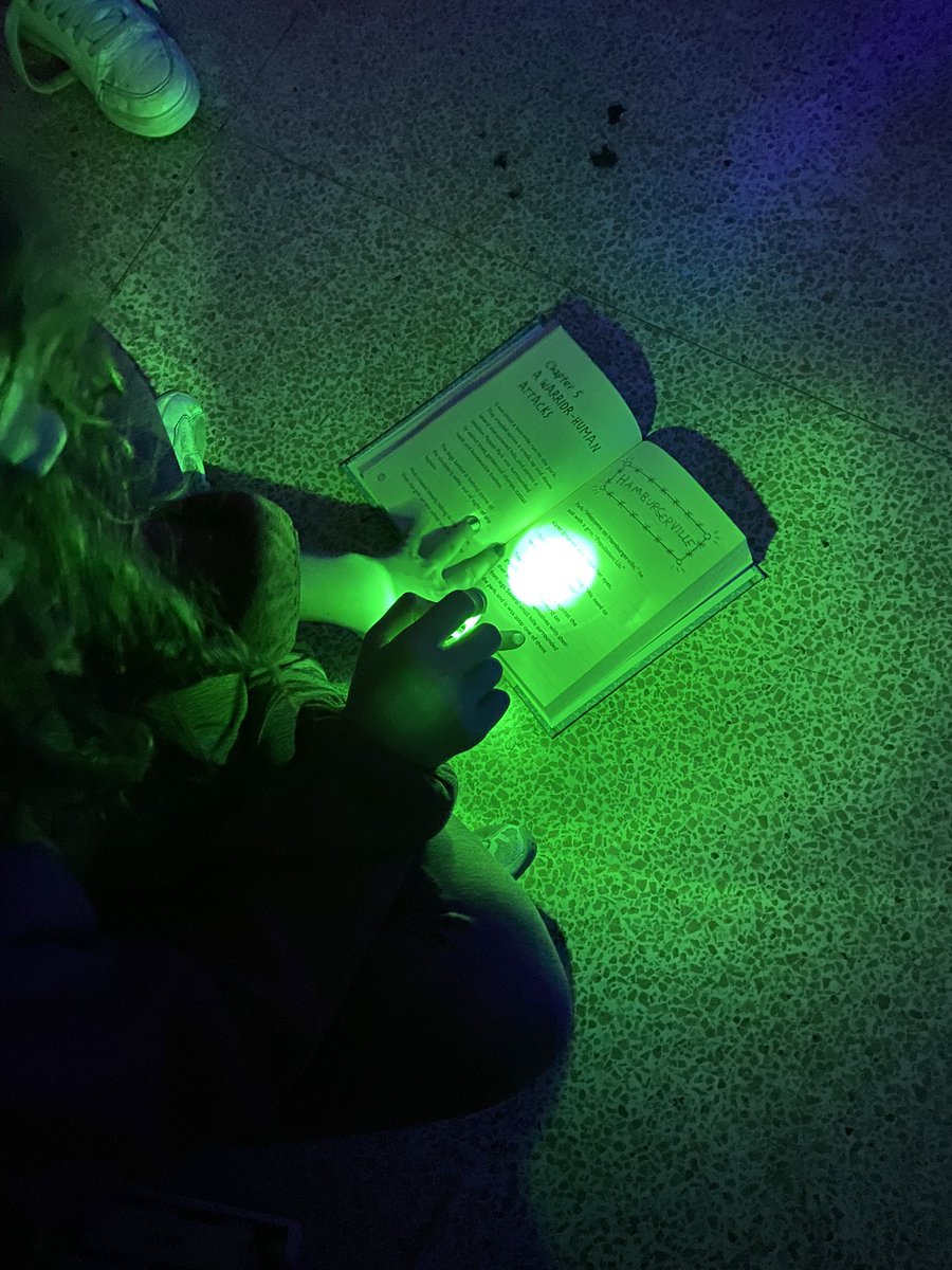 ms_bowersclass's tweet photo. We are practicing our joyful literacy today with flashlights. https://t.co/8kdDMQcWgy