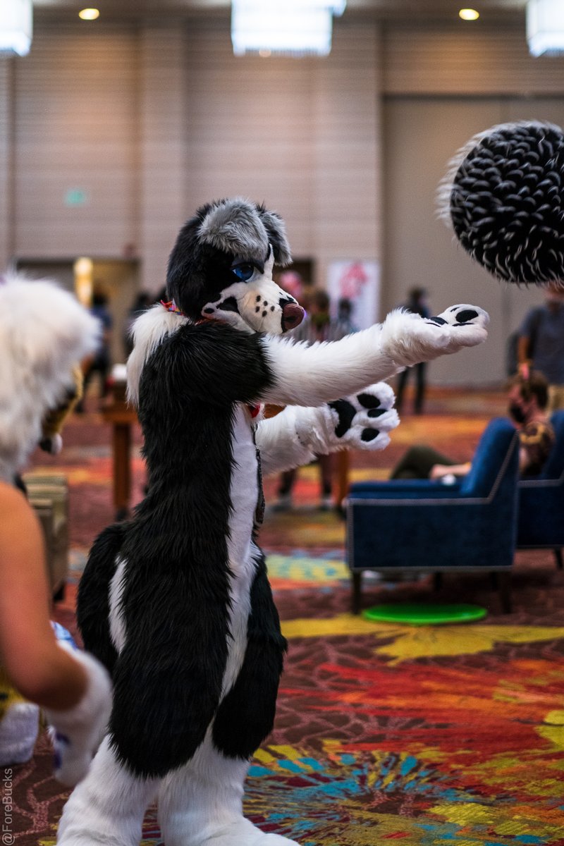 Sometimes you just have to take a break from life and look at cute fursuit pictures, know what I mean? #FursuitFriday 

📷 <a href="/Forepawz/">ForeBucks</a>