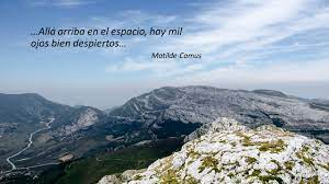profcancun's tweet photo. @rosmarymoreno @ptopelo https://t.co/oSJgvxoHiB. Reflexiones #MatildeCamus #Musas Buenos días... https://t.co/nxXyxUPoMj