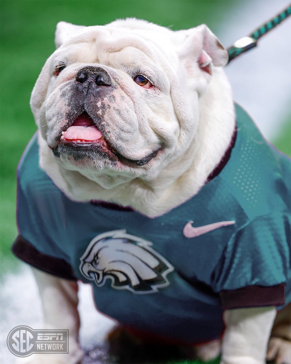 SECNetwork's tweet photo. Fly Dawgs Fly 🐶🦅

@GeorgiaFootball | @Eagles https://t.co/Ai4dQqzo0a