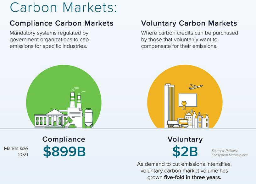 What are the Carbon Markets? 1 Carbon Credit = a digital certificate proving a company or an environmental project prevented the emission (pollution) of 1 ton of CO2eq (carbon dioxide)