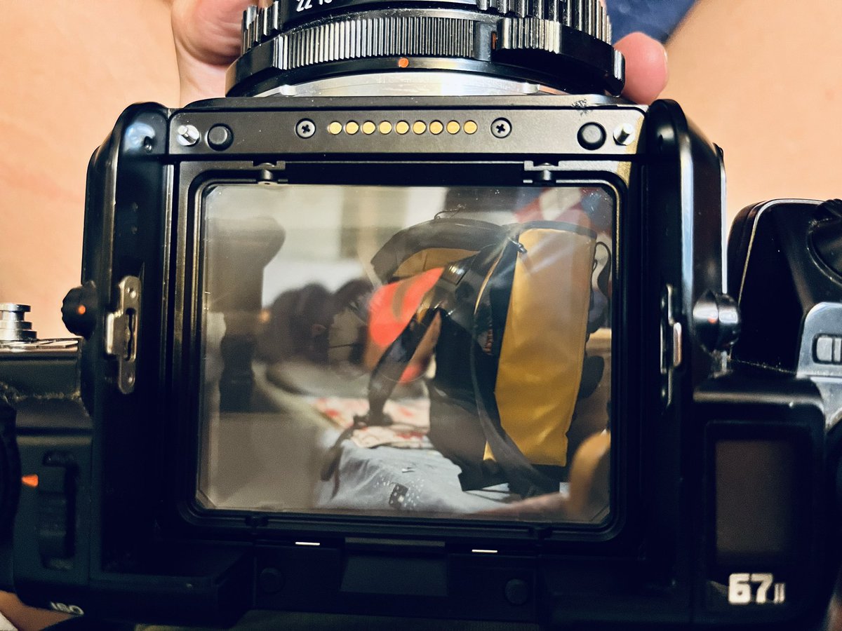 SKT_WLion's tweet photo. New stuff to shooting fursuit 👀👌🏻
#pentax #67ii https://t.co/8RDU1xrRCv