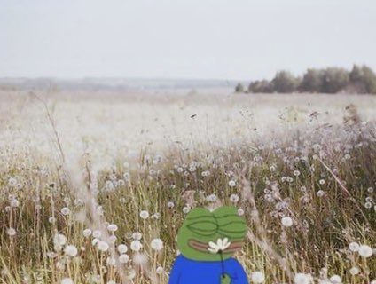 Dookie Shrimp tweet media