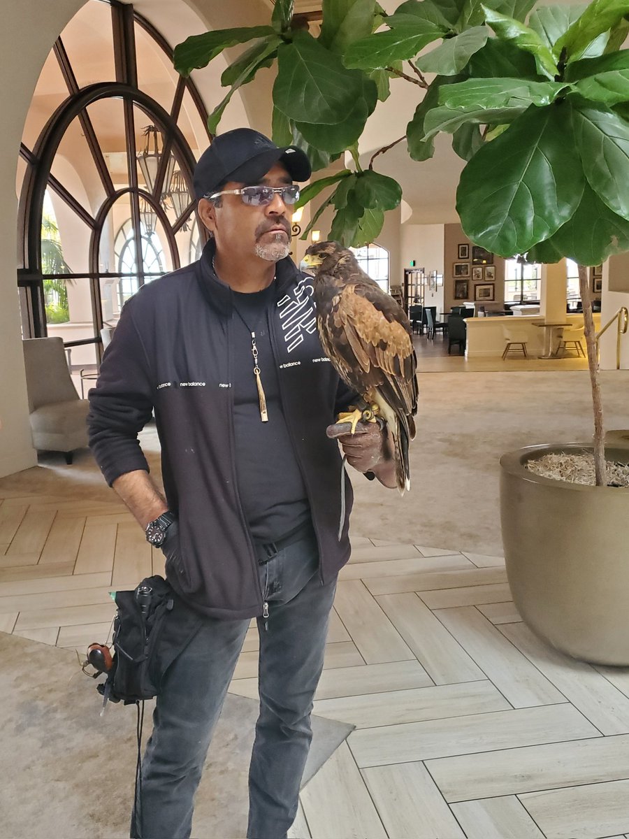 #SANS2023 - now with raptors patrolling the hotel lobby!