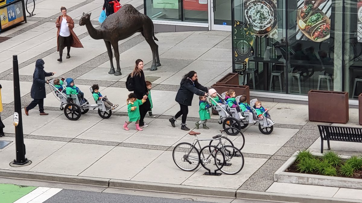 cooljazzer's tweet photo. Checking out #sidewalk #RushHour from my office window .... Even the #NorthShore #camel had to wait at the crossing π@NorthShoreNews @CityOfNorthVan @VanNorthShore #BlueShoreLife https://t.co/DuqgCNGSfw