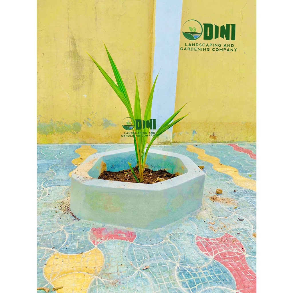 DiiniCompany's tweet photo. Had iyo Jeer Shaqalaheynu waxa ey ku helanyihiin sidii ey kuu tusi lahayen Deegan Cagaran . Dini Landscaping &amp; Gardening Company @DiiniCompany https://t.co/Ah5ho99lxT