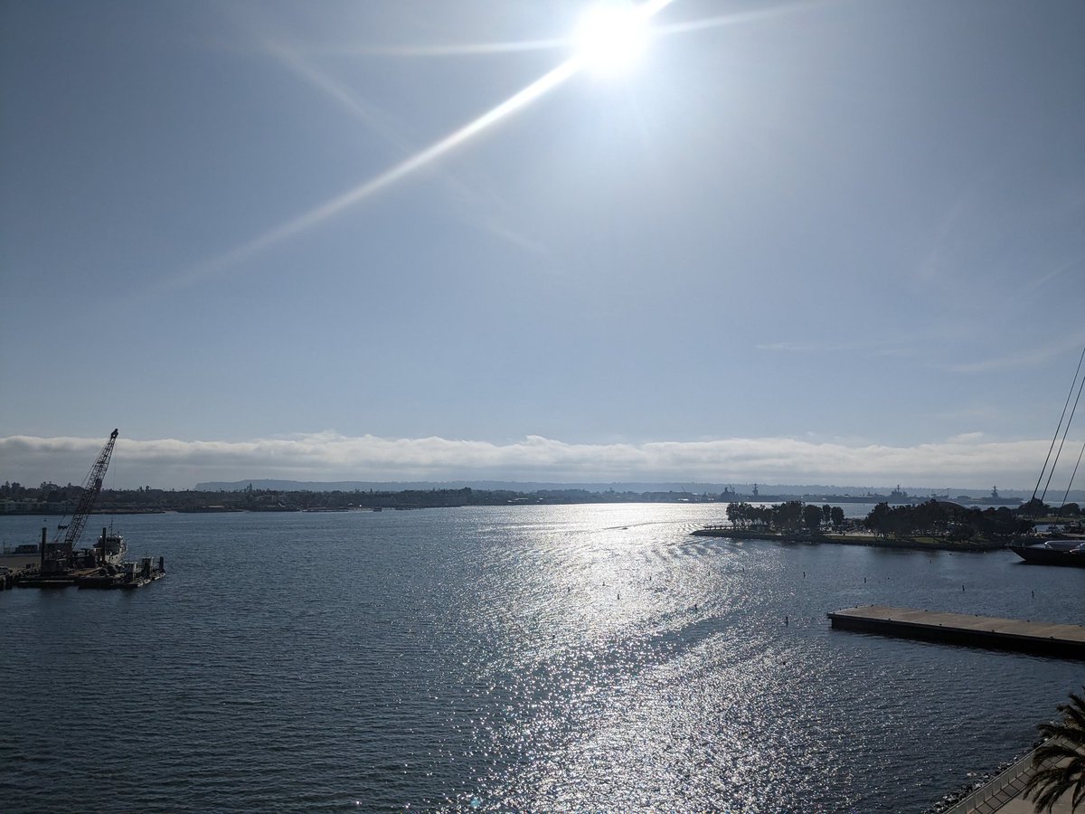 Elizabeth Haris tweet media