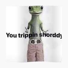 2bitsuperspy's tweet photo. @toothandniallx I’m good! I’m grown and don’t support gross people https://t.co/O9r3L96UlT