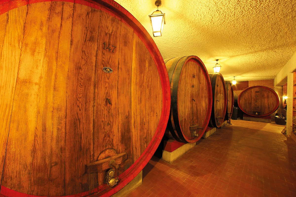 FISAR_Como's tweet photo. Evento: FISAR COMO in visita nelle LANGHE - https://t.co/bLKxLqwEHn https://t.co/EaW0q2PVmo