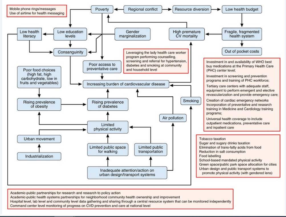 #GlobalRounds: Cardiovascular Diseases in #Pakistan – Imagining a Post-Pandemic, Post-Conflict Future <a href="/ZainabASamad/">Zainab Samad</a> <a href="/BashirHanif1/">Bashir Hanif</a> <a href="/AKUGlobal/">Aga Khan University</a> #AHAJournals ahajournals.org/doi/10.1161/CI…