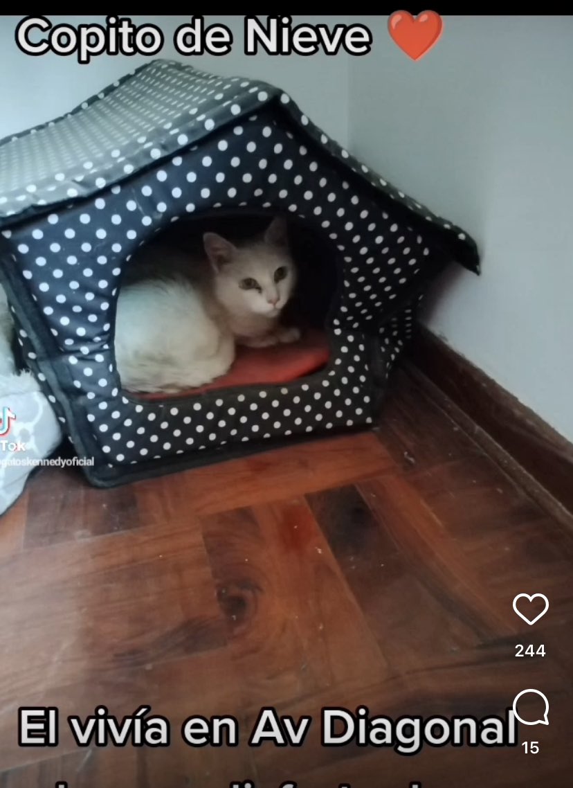 Narescka Culqui On Twitter RT lapetiisaa Recuerdan A Copito De narescka-culqui-on-twitter-rt-lapetiisaa-recuerdan-a-copito-de