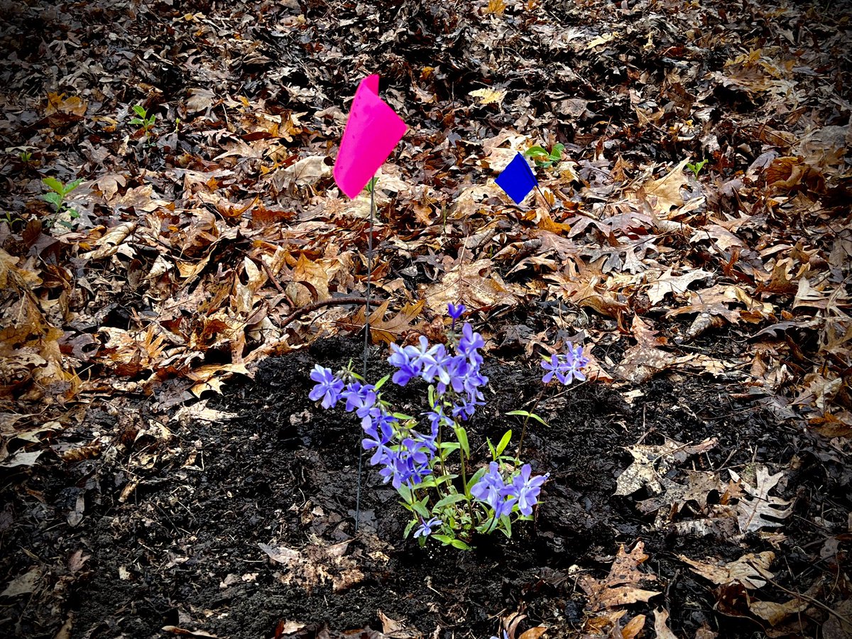 IU South Bend Honors tweet media