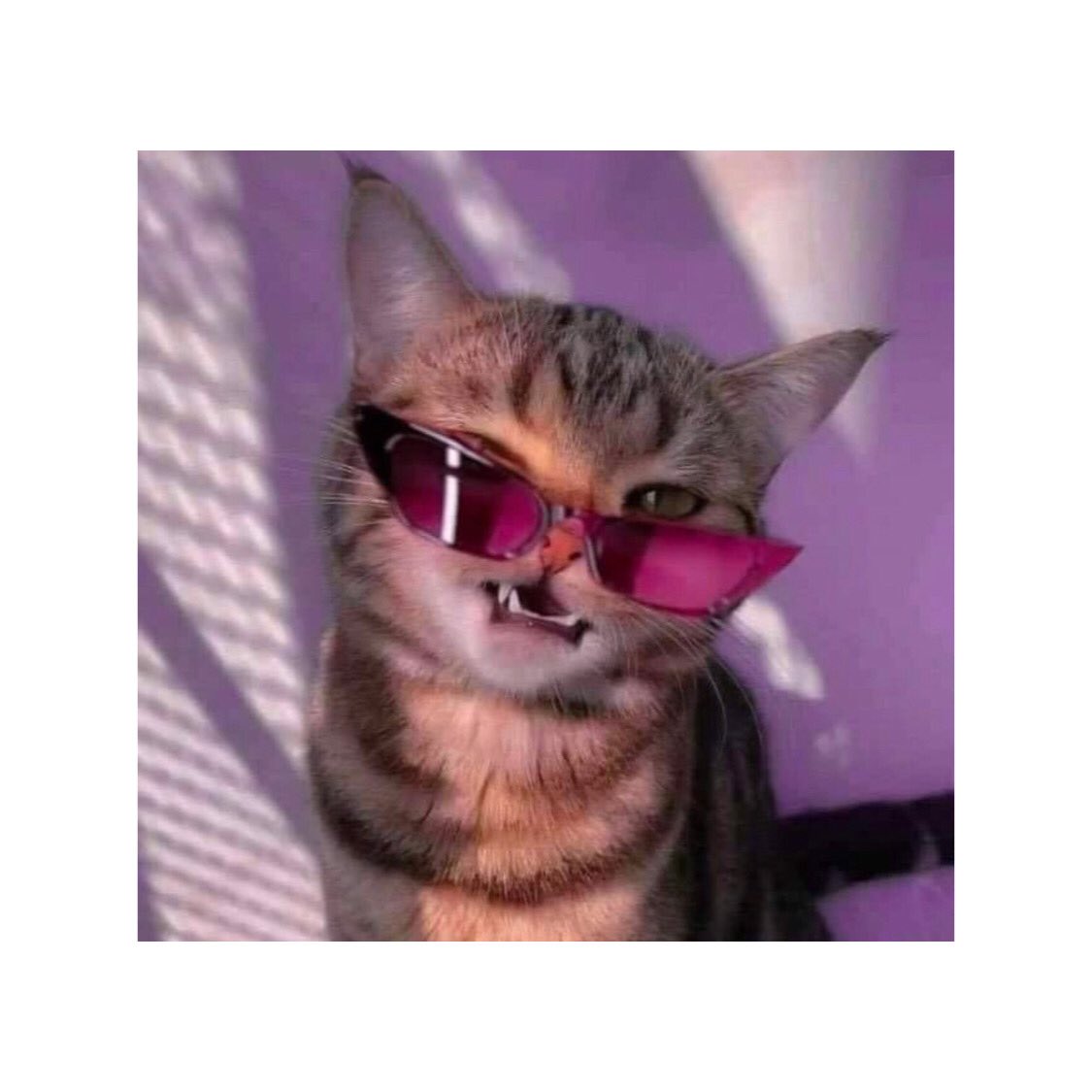 VictoriaRockera's tweet photo. Happy friday!!! 🥳🥳🥳
#timetobehappy
https://t.co/0RLLpRDFUR https://t.co/DABFQcicIE