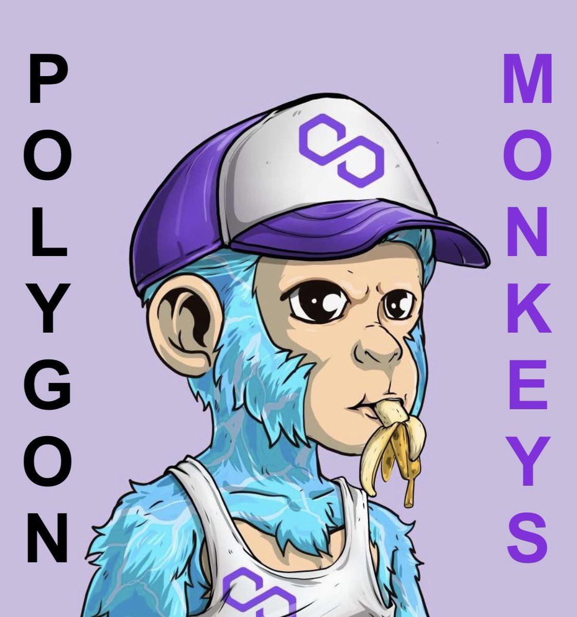 Crypto Ninja 🥷🏻cryptoninja.eth🥷🏻 (@7cryptoninja) / Posts / X