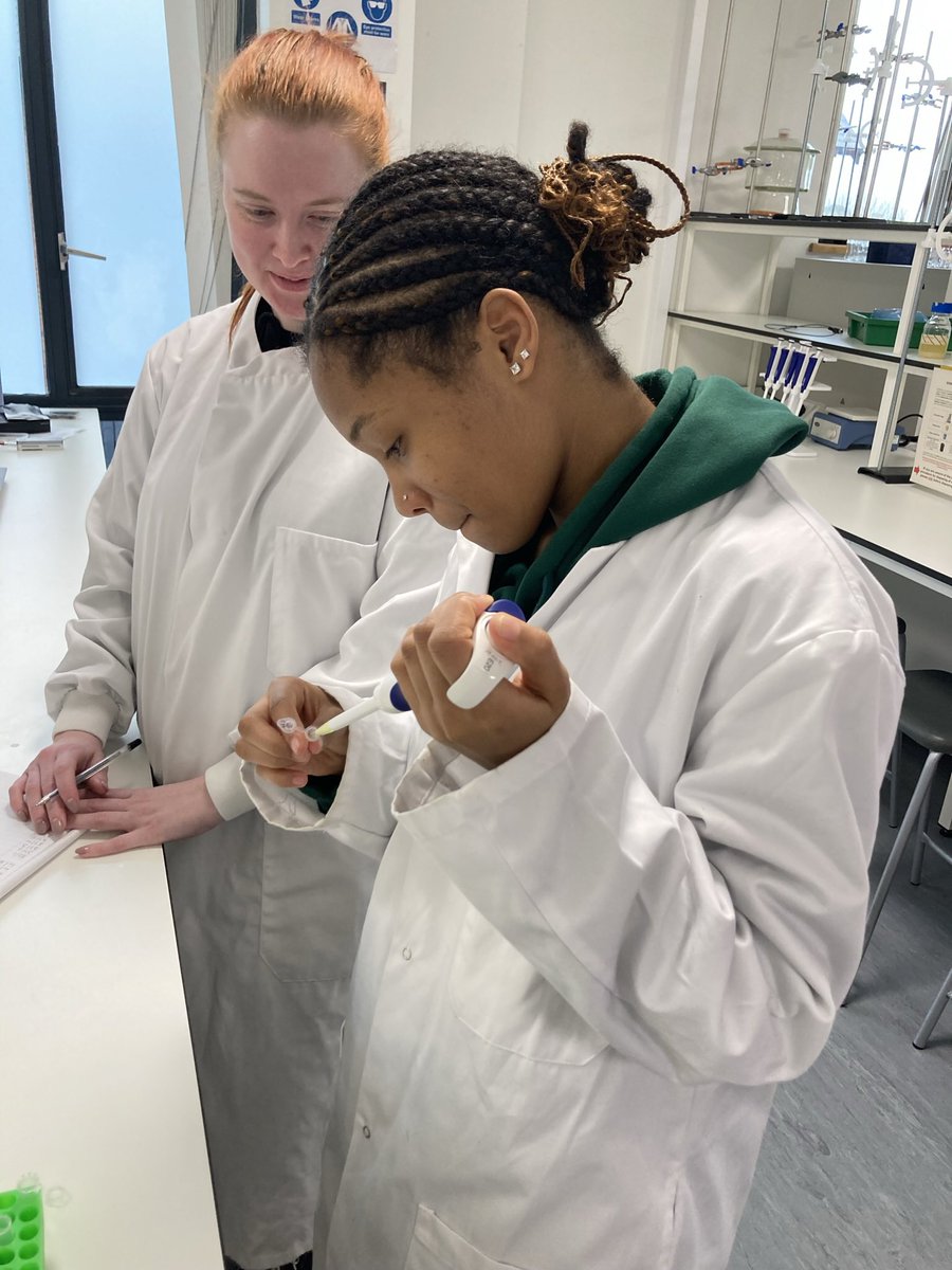 UCSbiosciences's tweet photo. Our wonderful students on MD5006 Applied Laboratory Skills at University Centre Shrewsbury counting live/dead cells following two days in the Cell Culture room 🔬🧪 https://t.co/gKUslqftaX