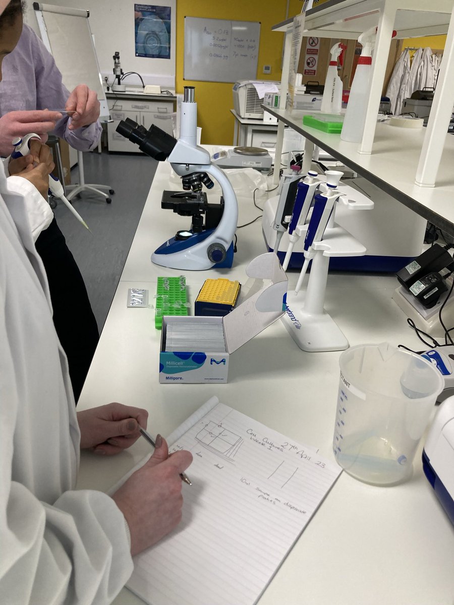 UCSbiosciences's tweet photo. Our wonderful students on MD5006 Applied Laboratory Skills at University Centre Shrewsbury counting live/dead cells following two days in the Cell Culture room 🔬🧪 https://t.co/gKUslqftaX