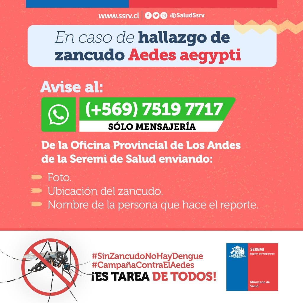 La <a href="/SaludSsrv/">SEREMI de Salud Región Valparaíso</a> tiene una Oficina Provincial Los Andes, ubicada en Avenida Argentina al costado del <a href="/HospLosAndes/">Hospital San Juan de Dios de Los Andes</a> y además dispone de un contacto vía whatsapp +56975197717 para informar ante lo que usted considere que es un hallazgo de esta especie.