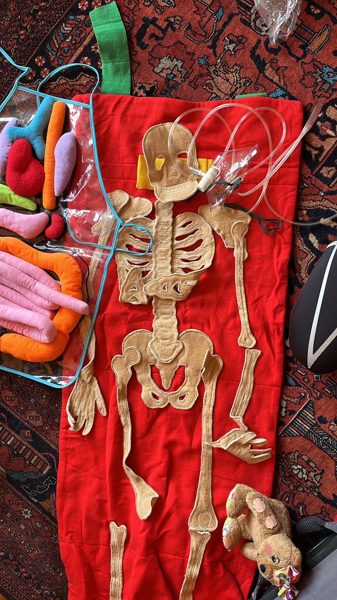JenniferVeitch0's tweet photo. Great to be invited along to help @MsDinwoodieBPS at the Brunstane Primary School careers fair. Hopefully some young medics in the making! @WPMedicsSoc @EdinUniMedicine https://t.co/JReuJipuYh