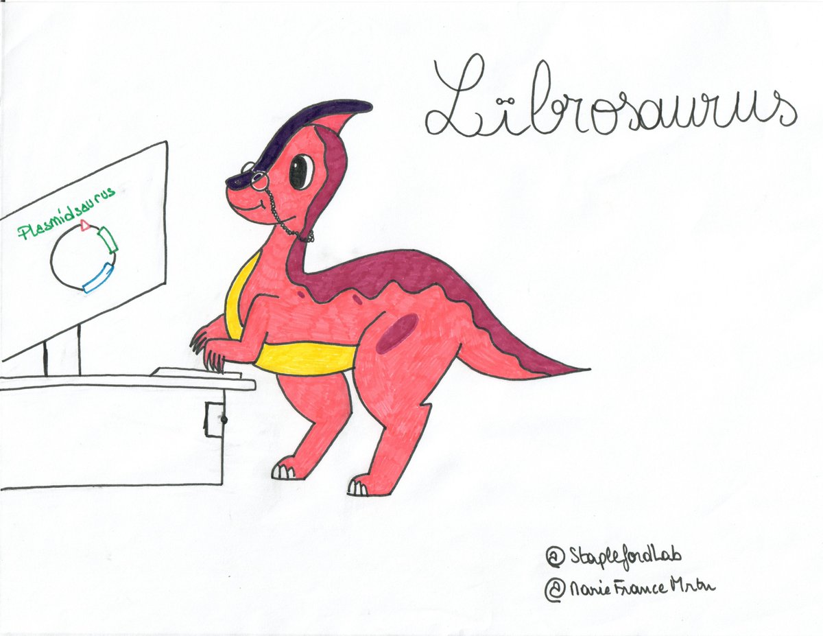 plasmidsaurus tweet media