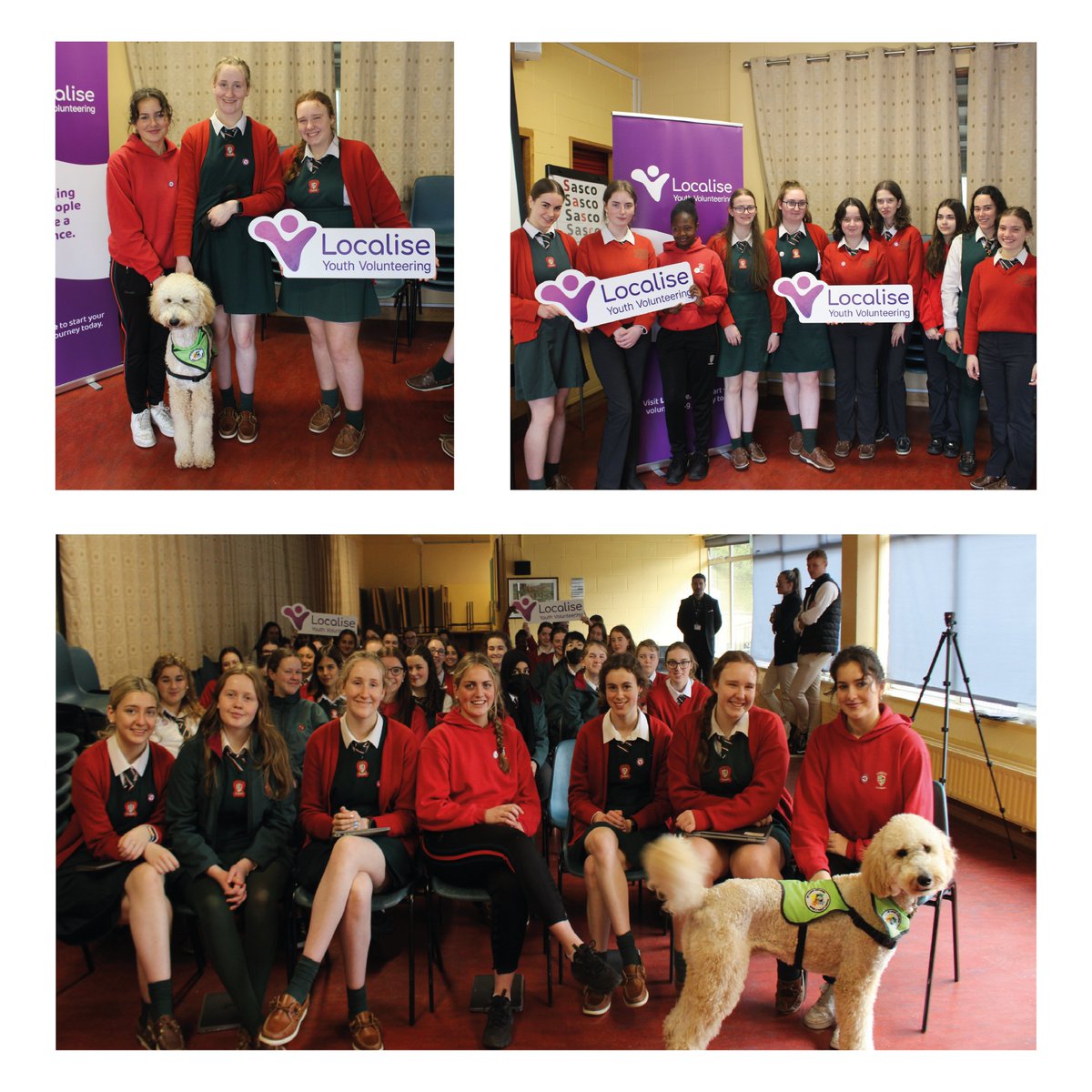 What a way to ring in the bank holiday! Visiting @LoretoClonmel to celebrate their completion of the Localise Volunteering in Action workshop! Meeting their school therapy dog Gino was icing on the cake!