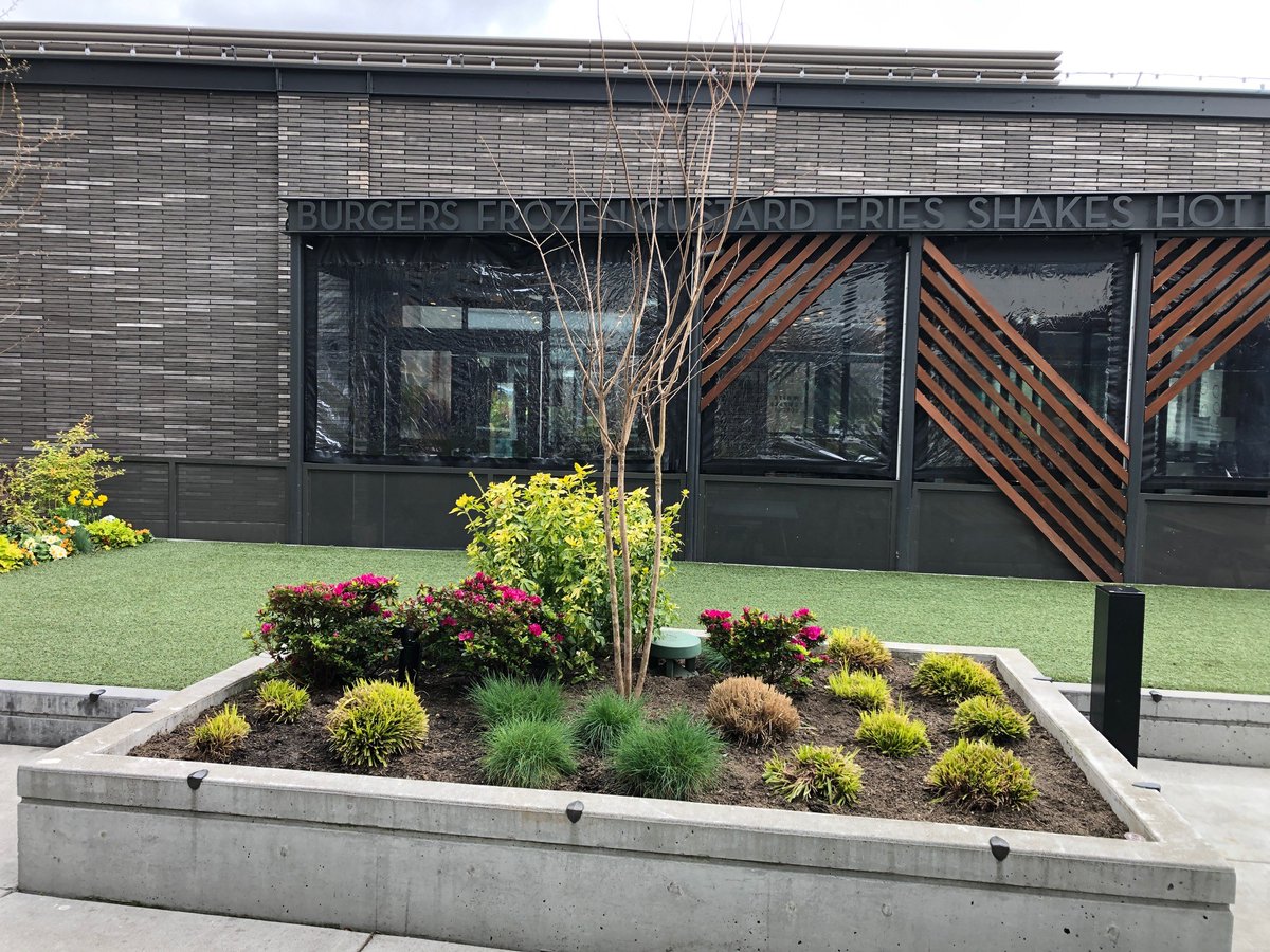 Botanical Designs tweet media