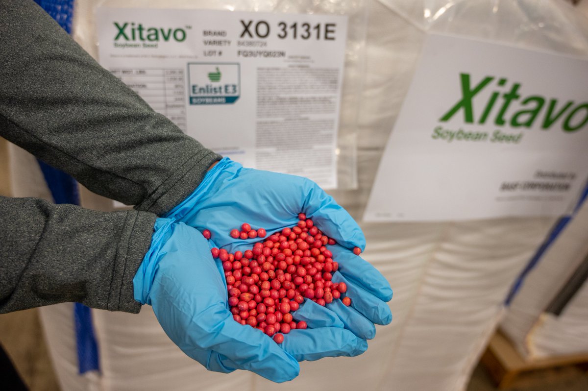 It's planting time! Make sure your seeds get off to the best start possible with proper seed treatment. Our latest video shows you how to do it right and troubleshoot common problems. #SeedTreatment #Plant23   youtu.be/RvSrpdd8yc4