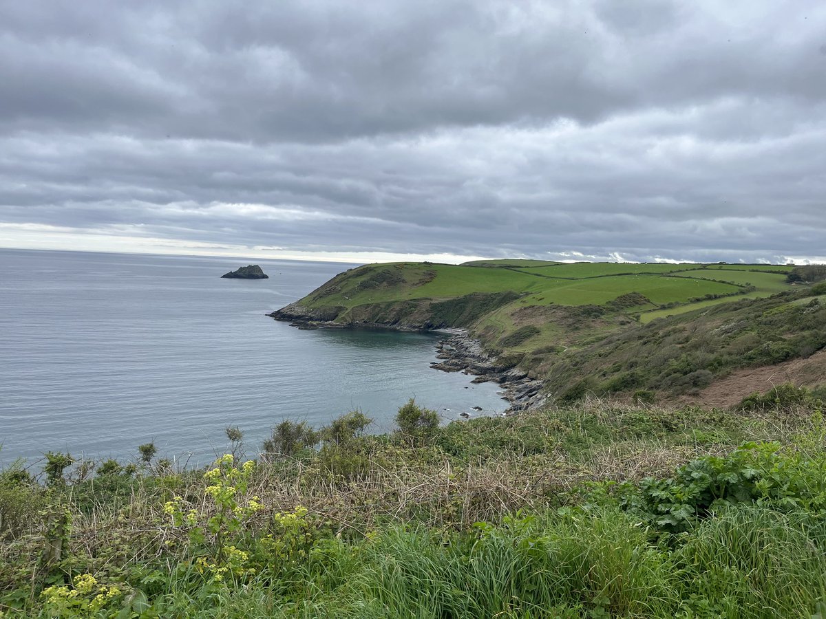 roselandkennels's tweet photo. Stiff walk with @MarkPope5 today on his SW Coast Walk in aid of MND, we covered from St Antony Head to Portloe before a little rehydration in the pub 😂

https://t.co/st0qIWAAV3 https://t.co/lhgNGQpkly