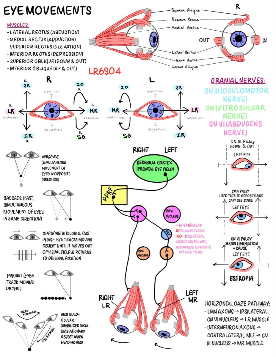 Eye movements overview

Credits: Carli Coppola

#MedTwitter