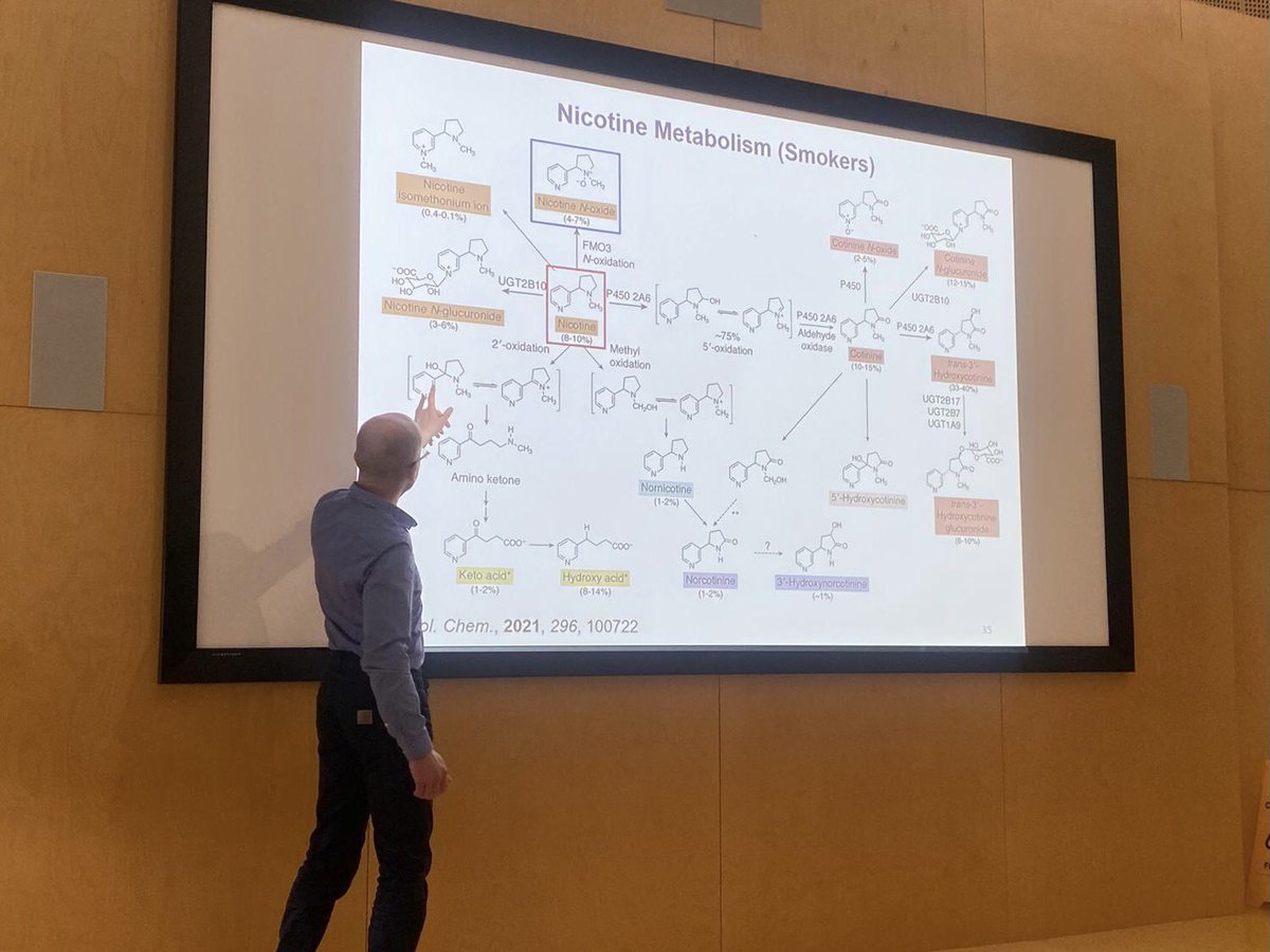 Organic Discussions tweet media