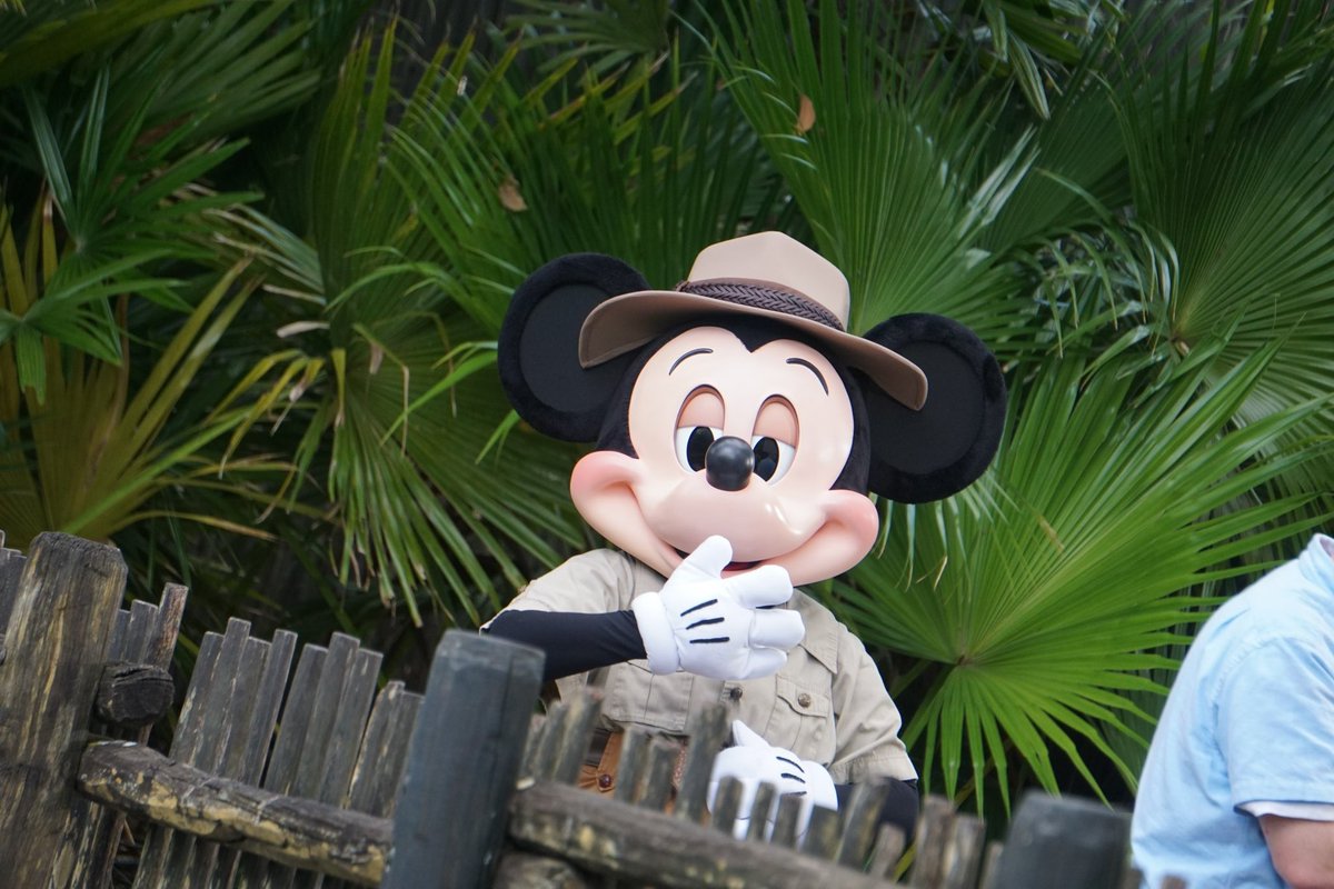 ALLISDISNEY's tweet photo. WE ARE DISNEY. 

OUR TWO HUNDREDTH FOLLOWER WILL BE PERMITTED TO REMEMBER THAT THEY ONCE HAD A HUMAN NAME IN THE WORLD STILL TO COME. https://t.co/n2bQNPYulw