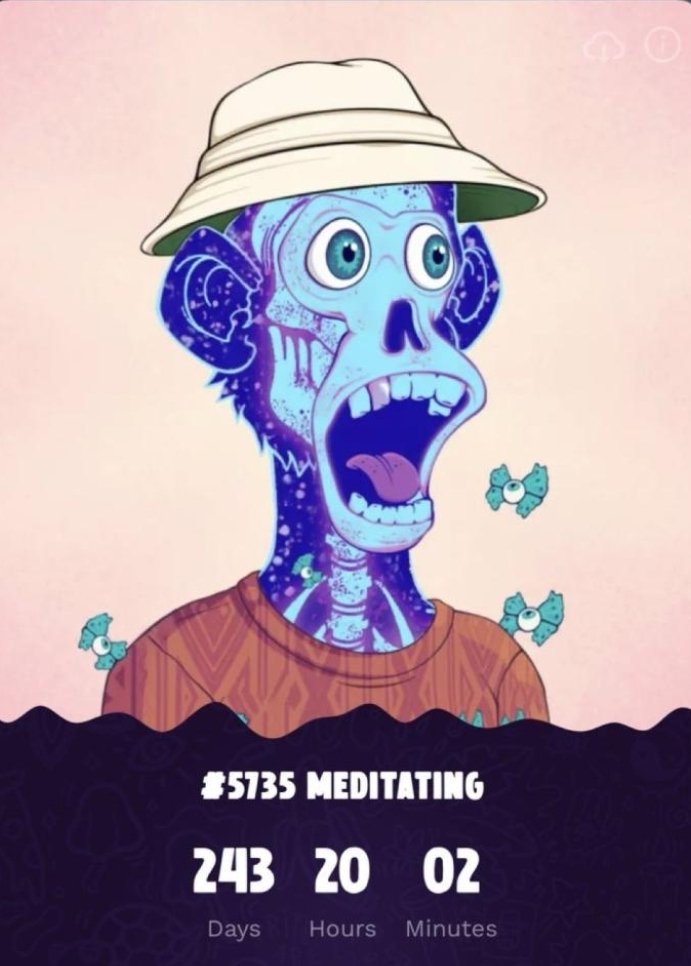 Trippin’ Ape Tribe tweet media