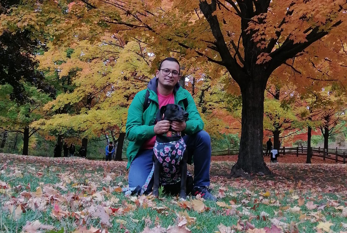 Felipe Rodriguez-Fonseca was eager to join WIMTACH and the Social Innovation program when he heard about a meaningful community advancement plan. “This was the perfect project," he said

Read more: wimtach.centennialcollege.ca/meet-student-r…