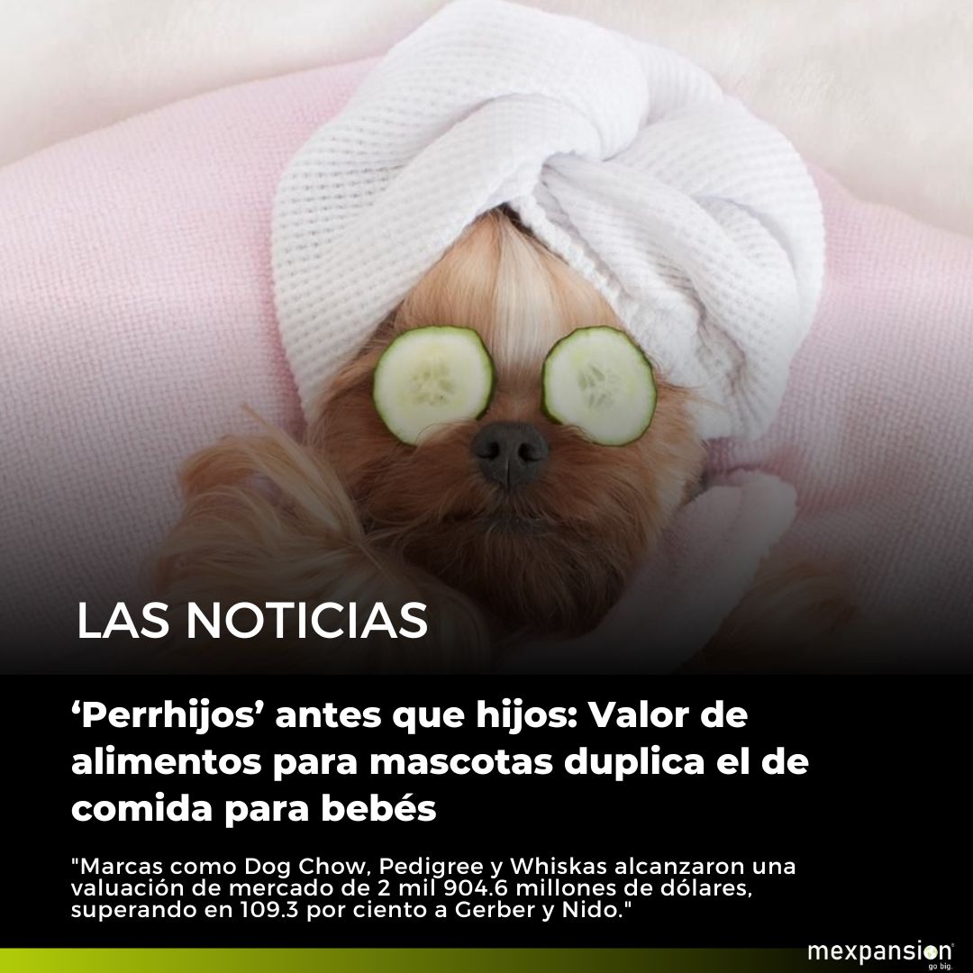 MexpansionGoBig's tweet photo. Descubre como las croquetas, cómida seca y húmeda para perros y gatos superaron en valor de mercado a los alimentos y bebidas para bebés.

https://t.co/6PqEq4Tz1L

#Perros #perrhijo #perritos #gatos #bebes #mascotas https://t.co/5tRqNJpBR9