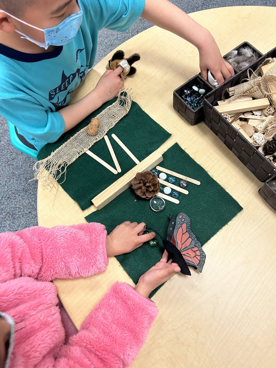 Shannon Mills tweet media