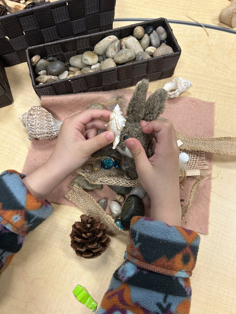 Shannon Mills tweet media