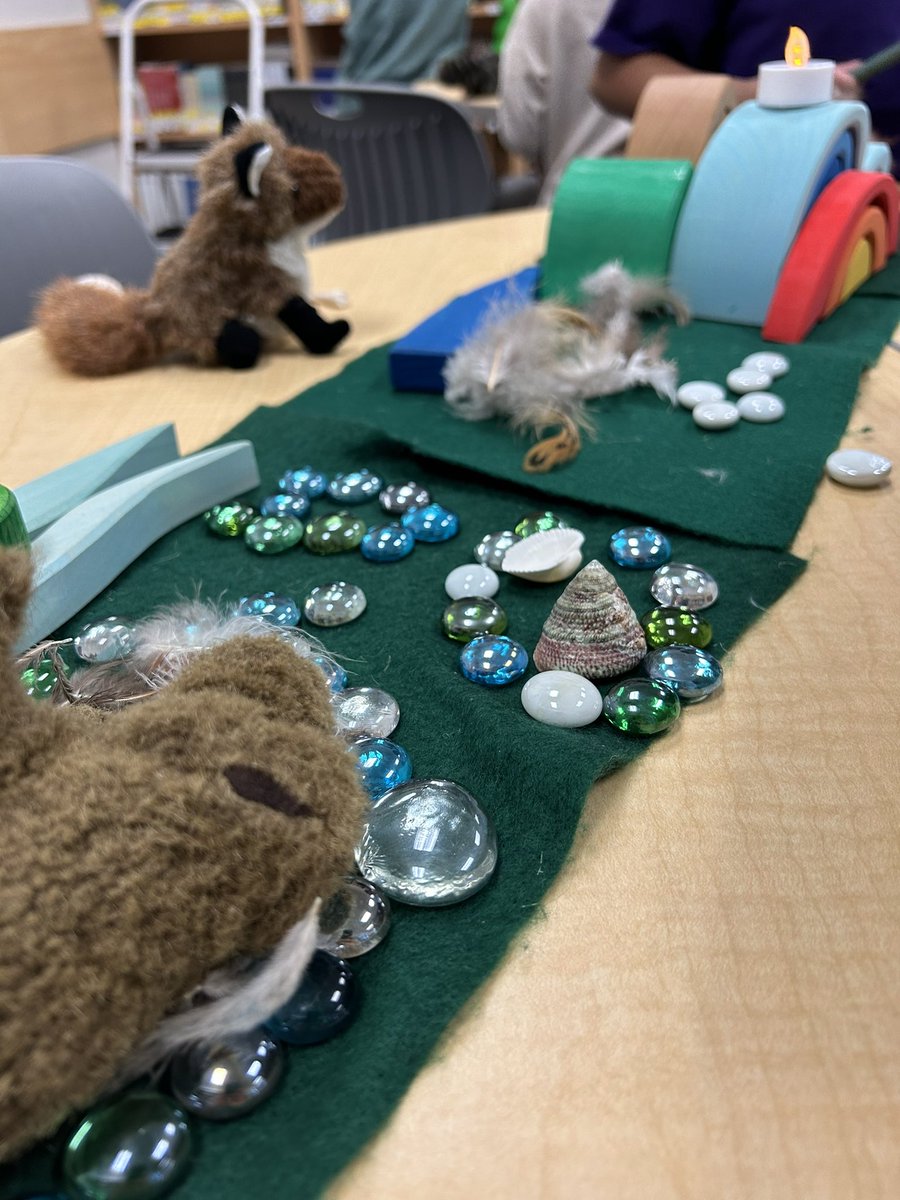 Shannon Mills tweet media