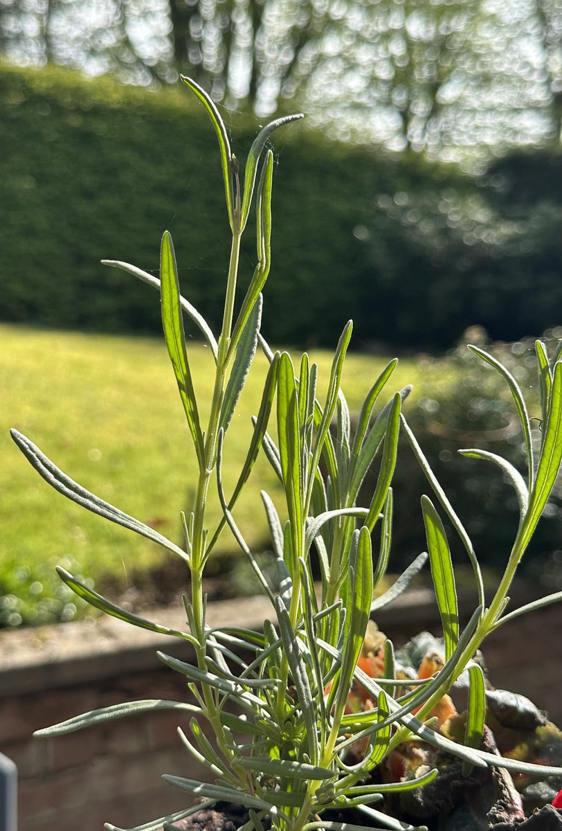 Grim up north today, right? #Brampton #Cumbria